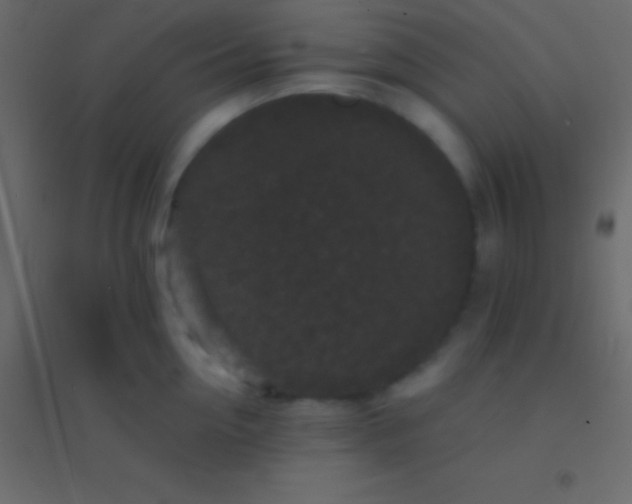 X0000094960954200712131642