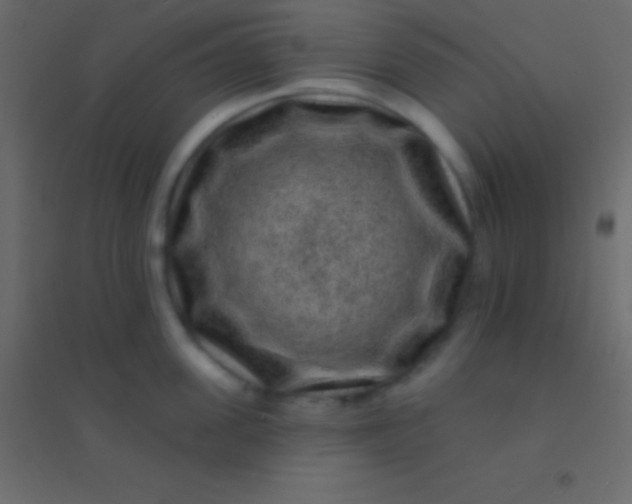 X0000094960955200712131642