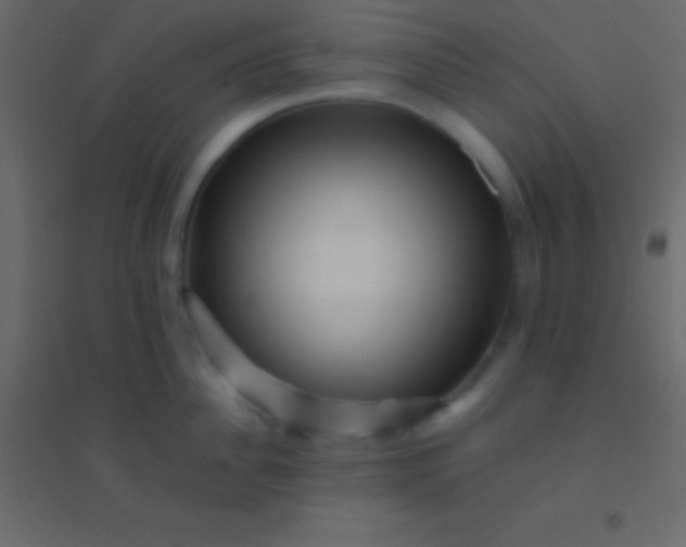 X0000094960956200712131642