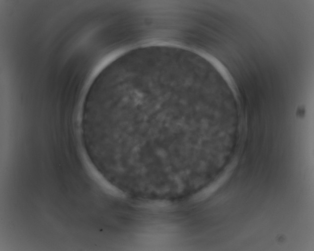 X0000094960957200712131642