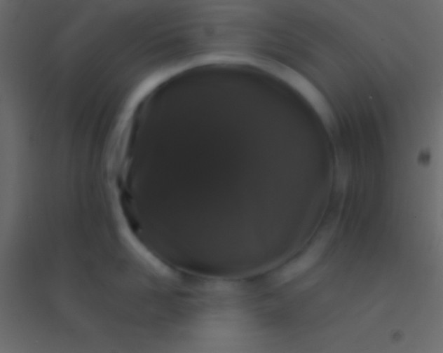 X0000094960958200712131642