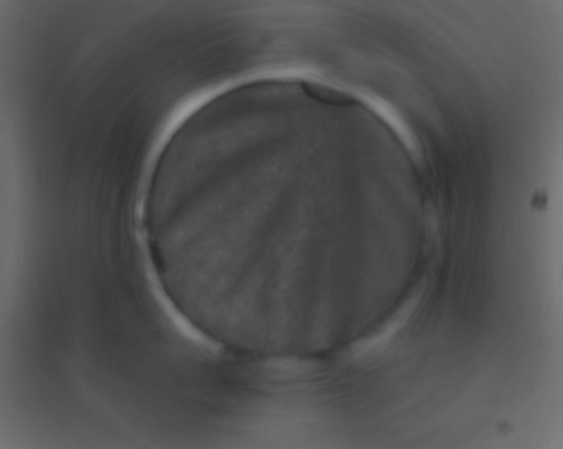 X0000094960959200712131642