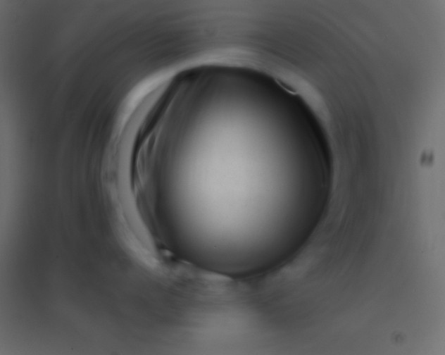 X0000094960960200712131642