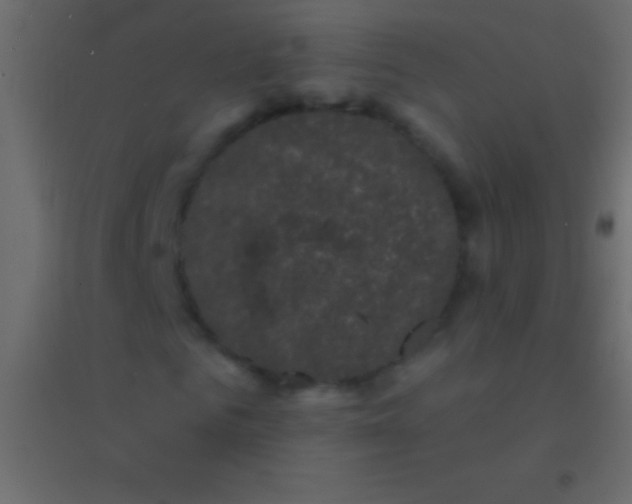 X0000094960961200712131641