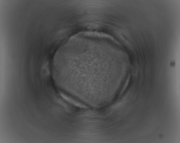 X0000094960962200712131641