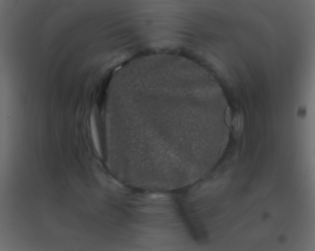 X0000094960963200712131641