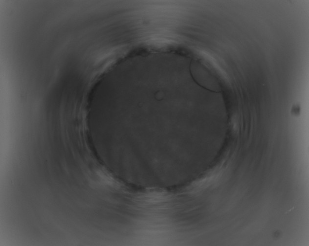 X0000094960964200712131641