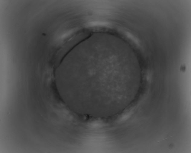 X0000094960965200712131641