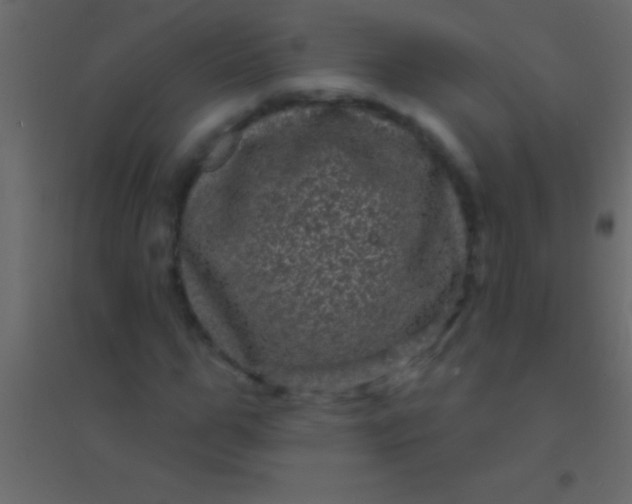 X0000094960967200712131641