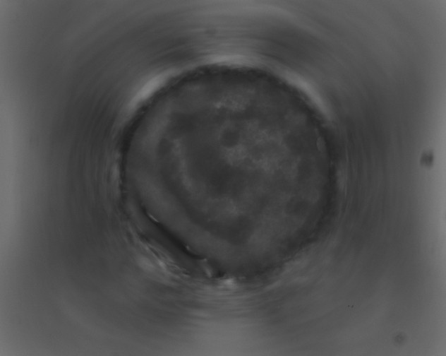 X0000094960968200712131641