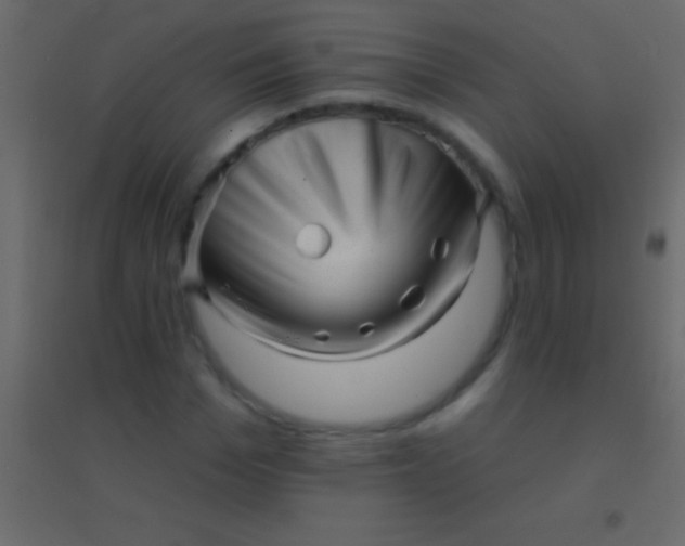 X0000094960969200712131641