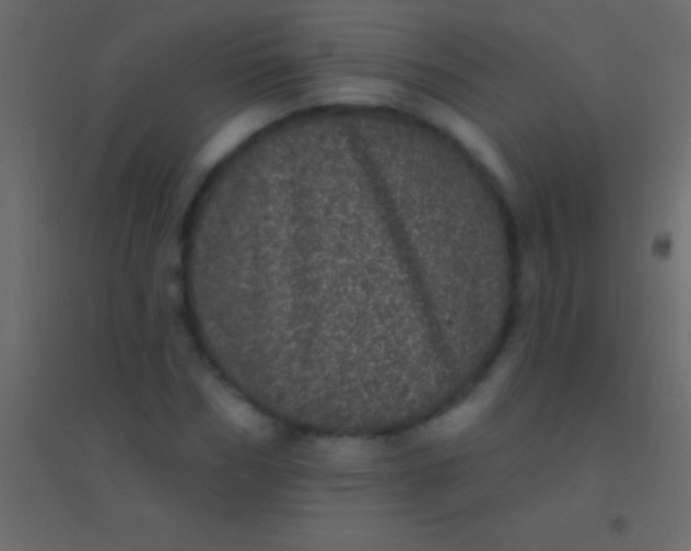 X0000094960970200712131641