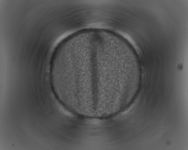 X0000094960971200712131641