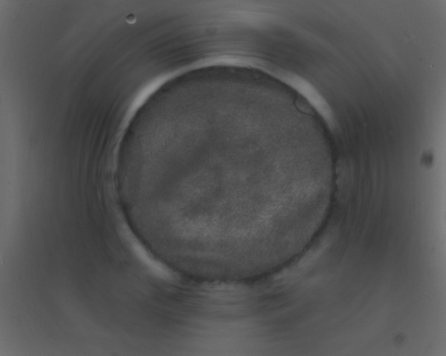 X0000094960972200712131641