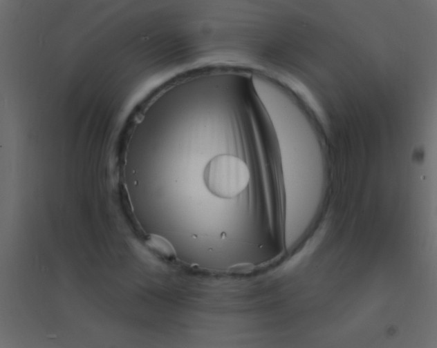 X0000094960973200712131641