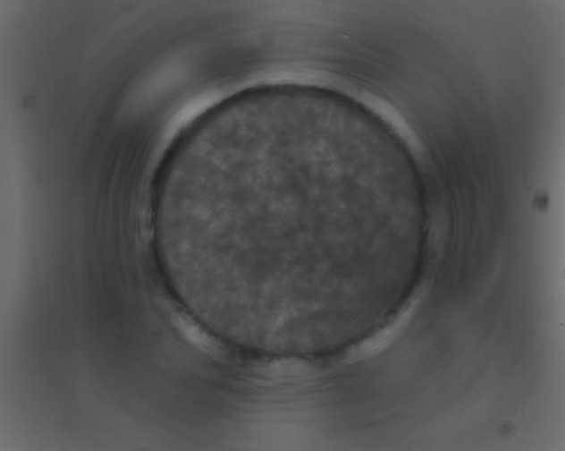 X0000094960974200712131641