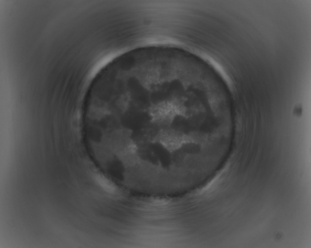 X0000094960975200712131641