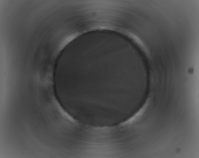 X0000094960977200712131641