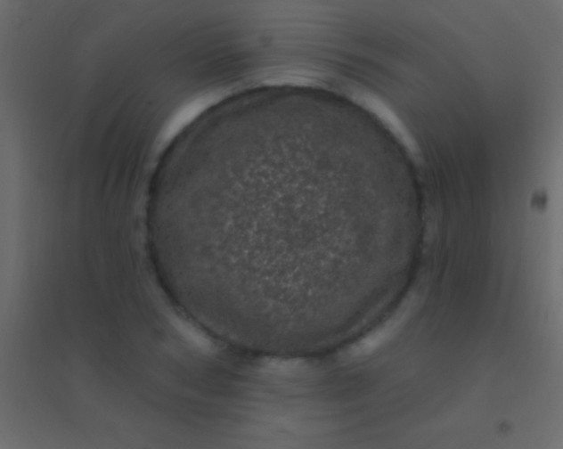 X0000094960978200712131641