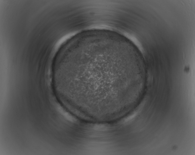 X0000094960979200712131641