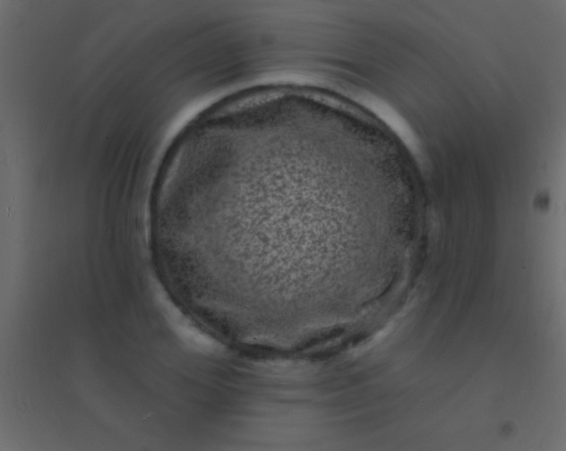 X0000094960980200712131641