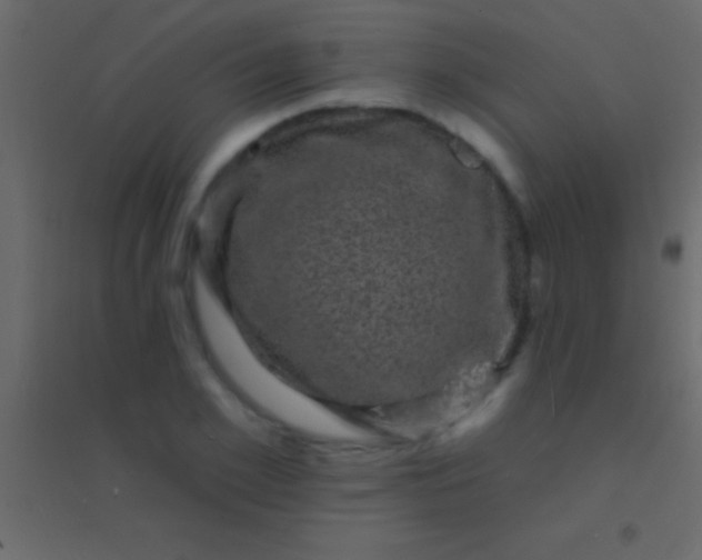 X0000094960981200712131641