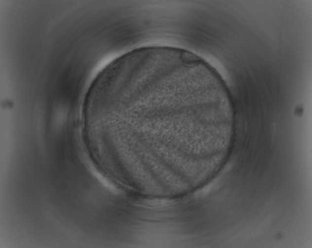 X0000094960982200712131641