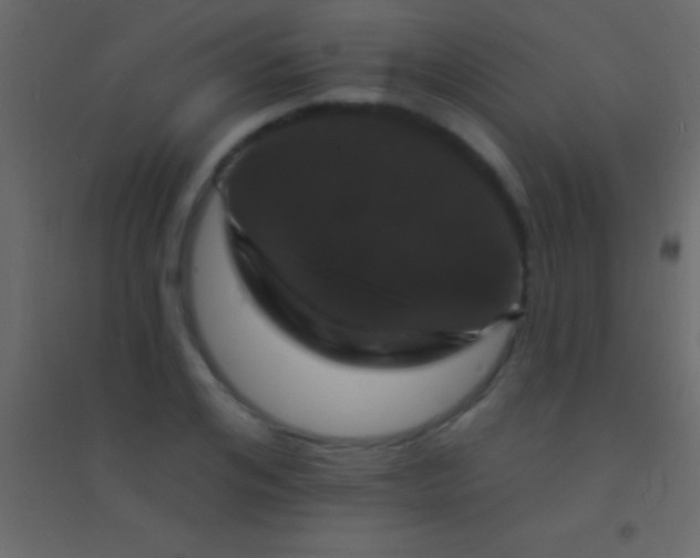 X0000094960984200712131641