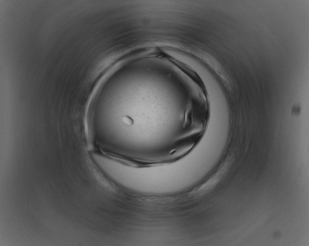 X0000094960985200712131641