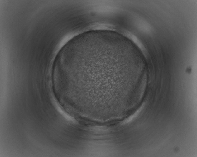 X0000094960986200712131641