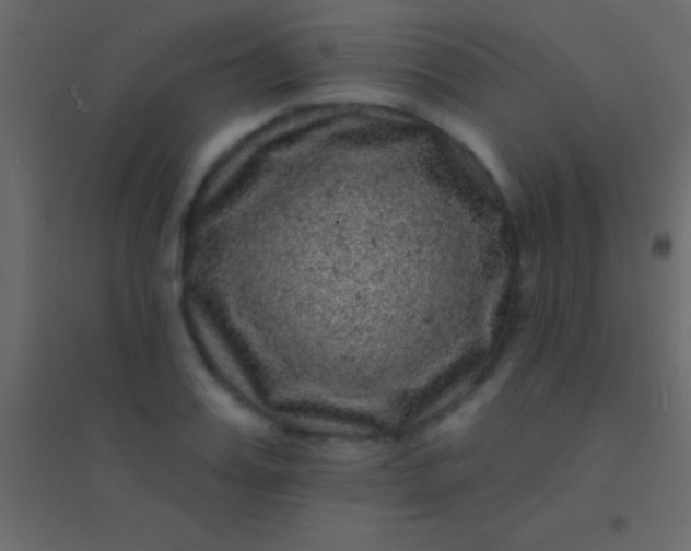 X0000094960987200712131641