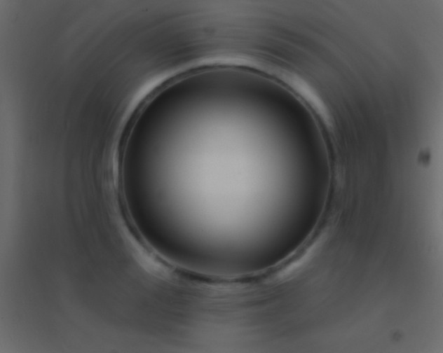 X0000094960988200712131641