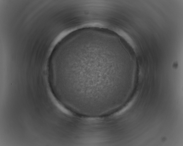 X0000094960989200712131641