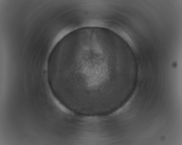 X0000094960990200712131641