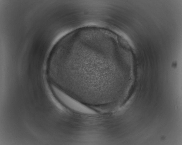 X0000094960991200712131641