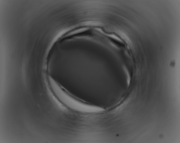 X0000094960992200712131641