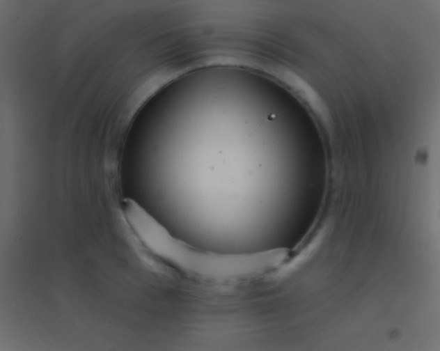 X0000094960993200712131641