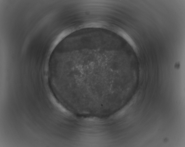 X0000094960994200712131641