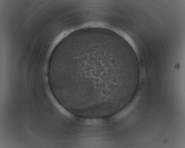 X0000094960997200712131641