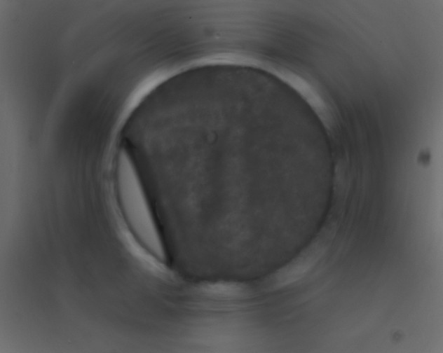 X0000094960998200712131641