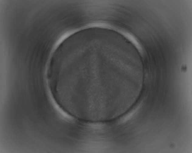 X0000094960999200712131641