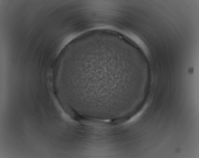 X0000094961001200712131641