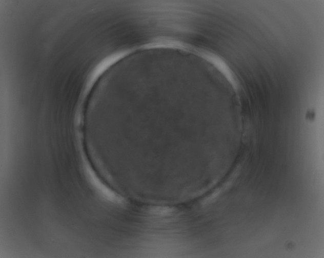 X0000094961003200712131641