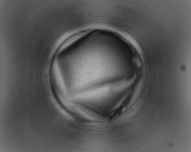 X0000094961005200712131641