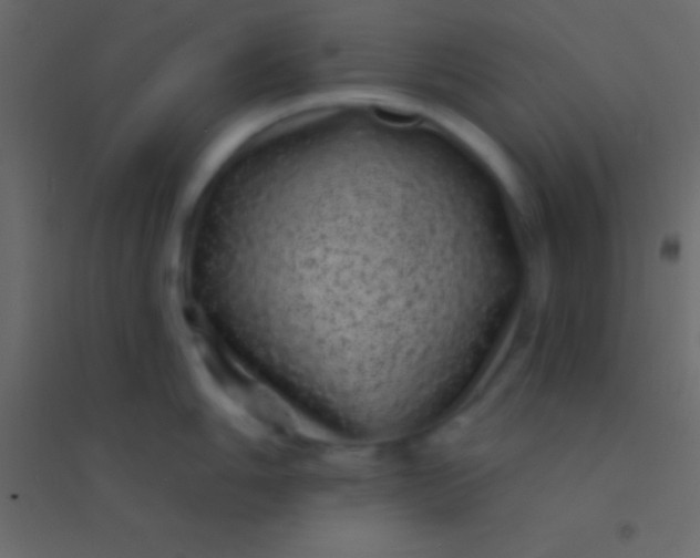 X0000094961006200712131641