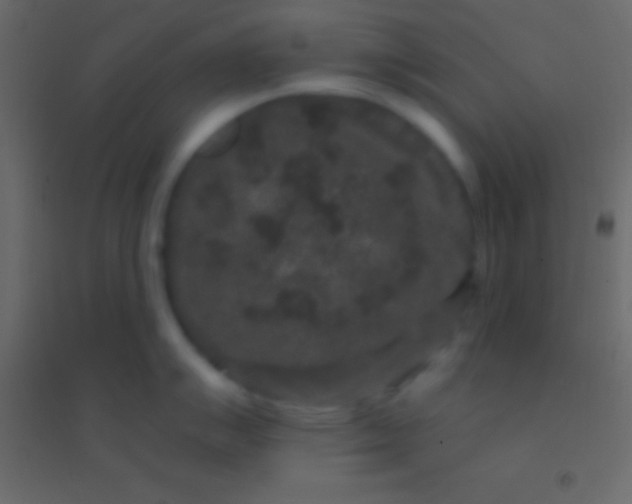 X0000094961007200712131641