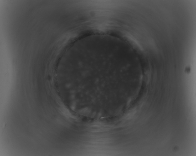 X0000094961009200712131640