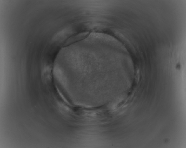 X0000094961010200712131640