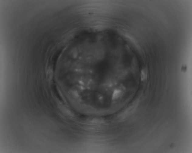 X0000094961011200712131640