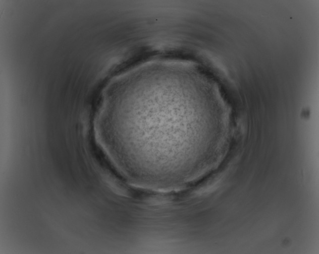 X0000094961012200712131640